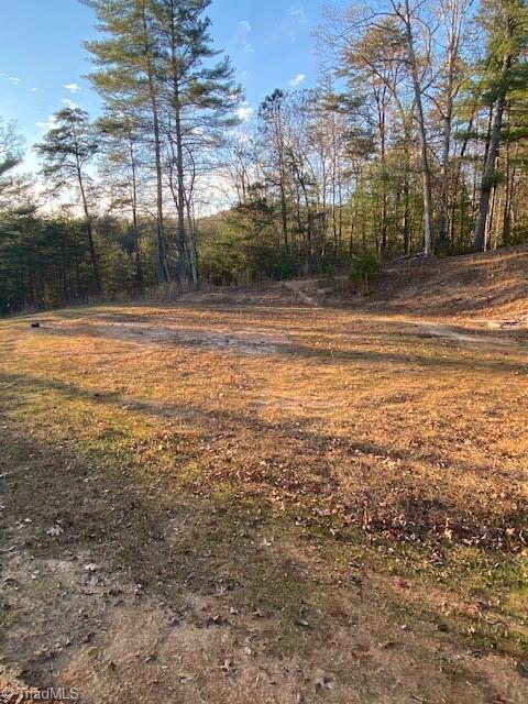 730 Singing Waters Ln, Purlear, NC 28665 photo 34