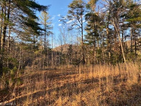 730 Singing Waters Ln, Purlear, NC 28665 photo 26