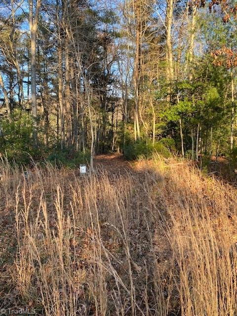 730 Singing Waters Ln, Purlear, NC 28665 photo 23