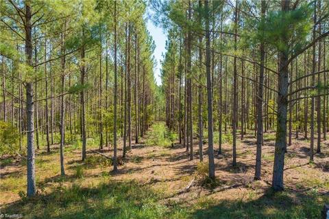 6681 Old Us Highway 64, Trinity, NC 27370 photo 8