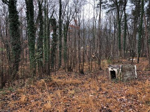 738 Golf Course Rd, Pilot Mountain, NC 27041 photo 10