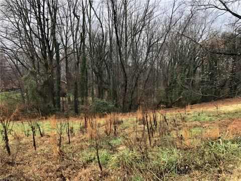 738 Golf Course Rd, Pilot Mountain, NC 27041 photo 3