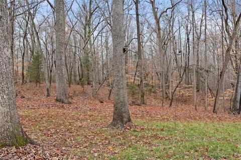 3885 Hoover Hill Rd, Trinity, NC 27370 photo 49