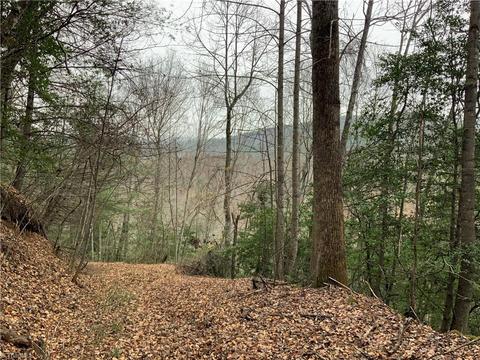 tbd Fall Creek Rd Fall Creek Rd, Purlear, NC 28665 photo 7