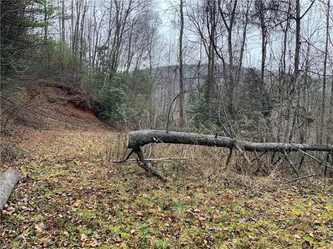 tbd Fall Creek Rd Fall Creek Rd, Purlear, NC 28665 photo 12