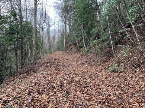 tbd Fall Creek Rd Fall Creek Rd, Purlear, NC 28665 photo 5