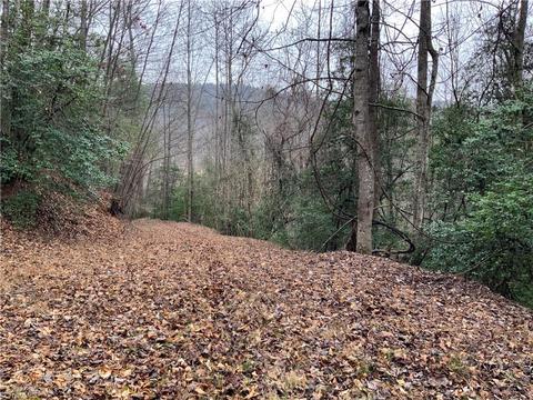 tbd Fall Creek Rd Fall Creek Rd, Purlear, NC 28665 photo 10