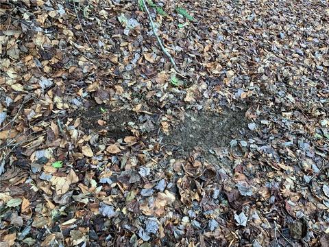 tbd Fall Creek Rd Fall Creek Rd, Purlear, NC 28665 photo 6