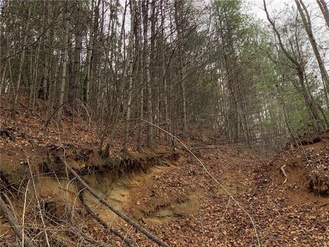 tbd Fall Creek Rd Fall Creek Rd, Purlear, NC 28665 photo 13