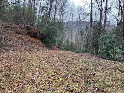 tbd Fall Creek Rd Fall Creek Rd, Purlear, NC 28665 photo 11