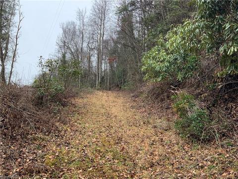tbd Fall Creek Rd Fall Creek Rd, Purlear, NC 28665 photo 2