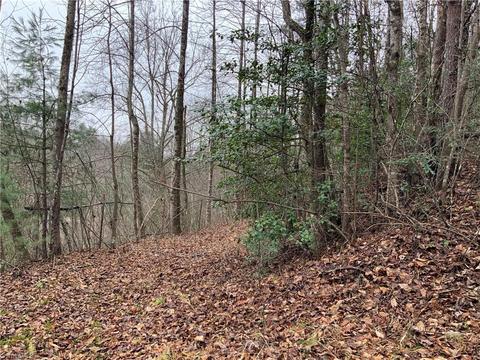 tbd Fall Creek Rd Fall Creek Rd, Purlear, NC 28665 photo 3