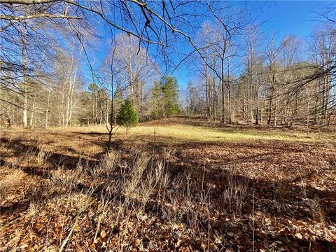 202 Morgan Ford Rd, Olin, NC 28660 photo 5