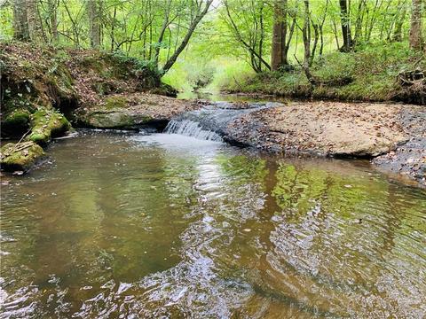 202 Morgan Ford Rd, Olin, NC 28660 photo 1