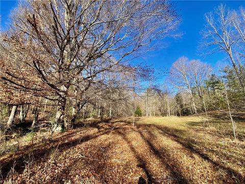 202 Morgan Ford Rd, Olin, NC 28660 photo 14