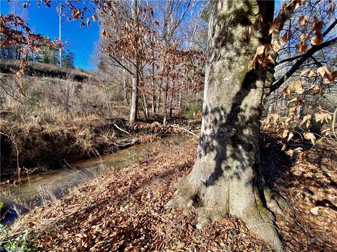 202 Morgan Ford Rd, Olin, NC 28660 photo 6