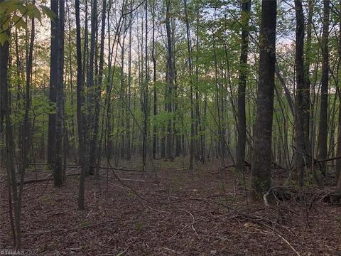 000 Breezy Hollow Trl, Cana, VA 24317