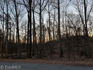 0 Geter Rd, Woodleaf, NC 27054