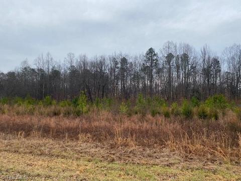 0 Holder Rd, Clemmons, NC 27012 photo 5