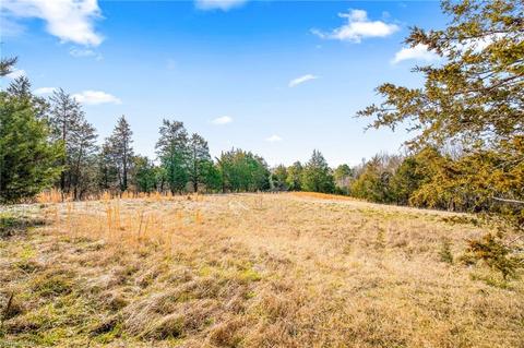 3889 Meadowbrook Dr, Trinity, NC 27370 photo 8