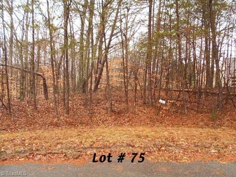 75 Beaver Run, Eden, NC 27288