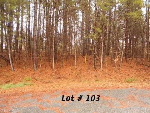 103 Deer Run, Eden, NC 27288