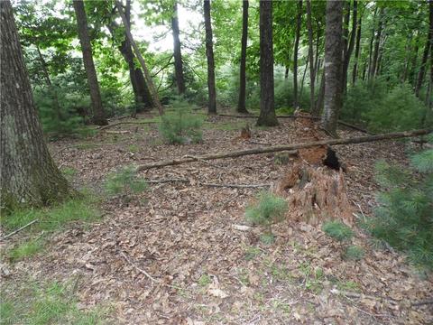 tbd Longview Cir, Roaring Gap, NC 28627 photo 6