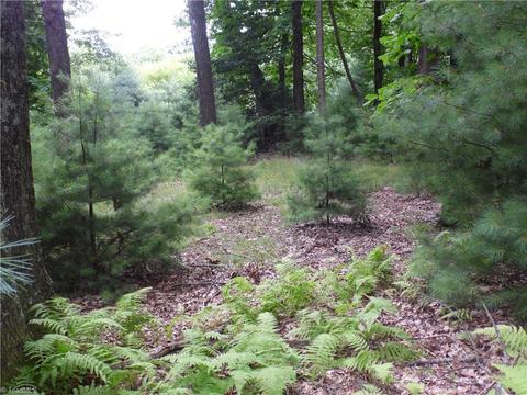 tbd Longview Cir, Roaring Gap, NC 28627 photo 14