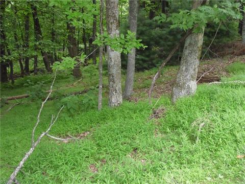 tbd Longview Cir, Roaring Gap, NC 28627 photo 11