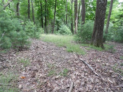 tbd Longview Cir, Roaring Gap, NC 28627 photo 5