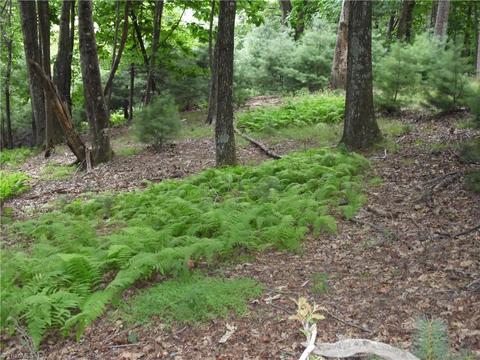 tbd Longview Cir, Roaring Gap, NC 28627 photo 13
