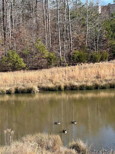 2802 Waterstone Loop, High Point, NC 27265 photo 20