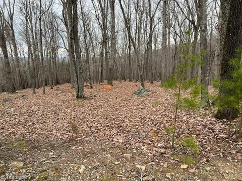 282 Cascading Creek Trl, Denton, NC 27239