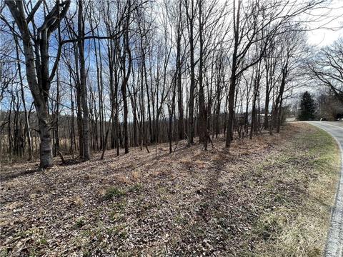 Nn Chestnut Ridge Road, Mount Airy, NC 27030
