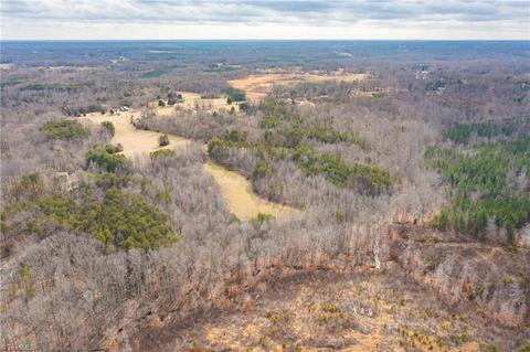 452 Perkinson Rd, Ruffin, NC 27326 photo 38