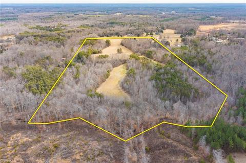 452 Perkinson Rd, Ruffin, NC 27326 photo 39