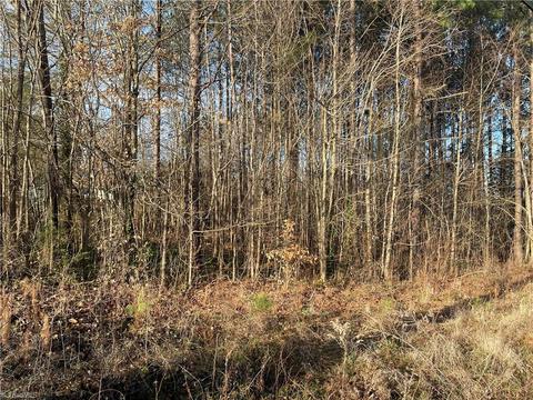 4 Gwyn St, Mocksville, NC 27028