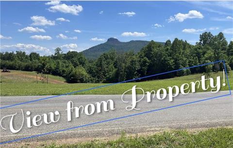 435 Golf Course Rd, Pilot Mountain, NC 27041 photo 2
