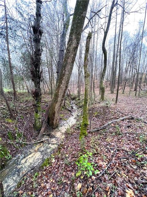 545 Lowe Rd, Madison, NC 27025 photo 31