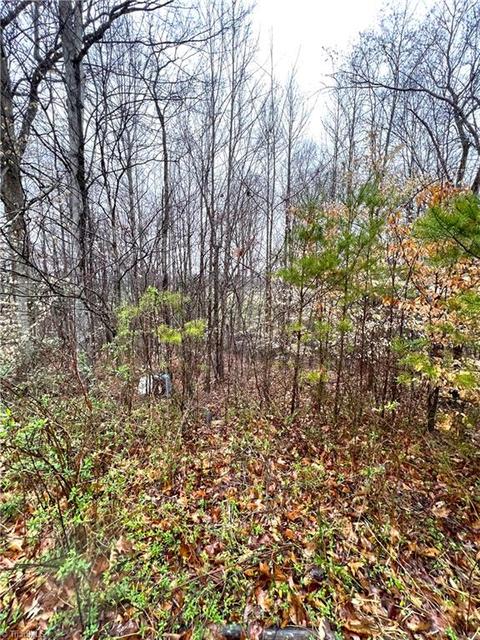 545 Lowe Rd, Madison, NC 27025 photo 22