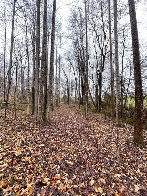 545 Lowe Rd, Madison, NC 27025 photo 34