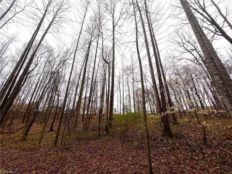 545 Lowe Rd, Madison, NC 27025 photo 33