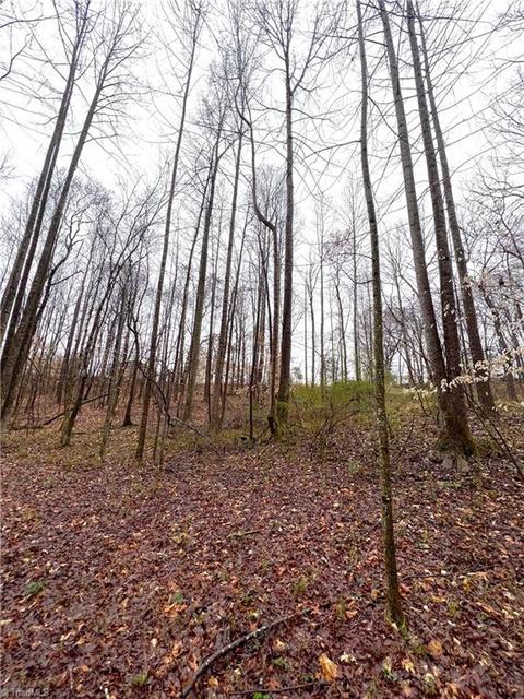 545 Lowe Rd, Madison, NC 27025 photo 32
