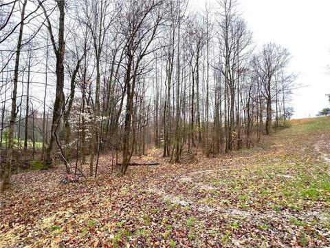 545 Lowe Rd, Madison, NC 27025 photo 28