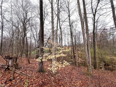 579 Lowe Rd, Madison, NC 27025 photo 21
