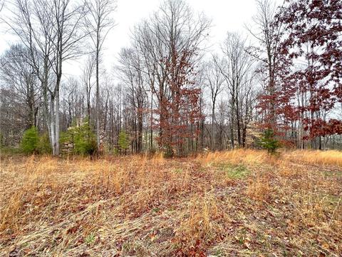 579 Lowe Rd, Madison, NC 27025 photo 28