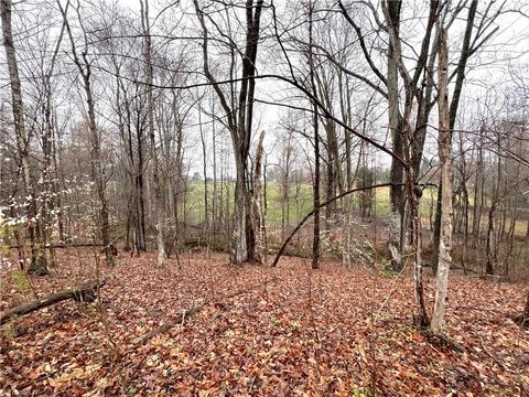 579 Lowe Rd, Madison, NC 27025 photo 26