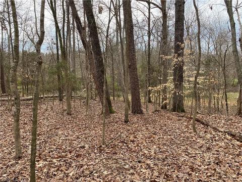 Lot 3 Sania Court, Graham, NC 27253