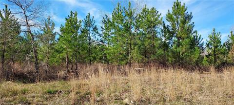 2382 Valley Mine Rd, Lexington, NC 27292