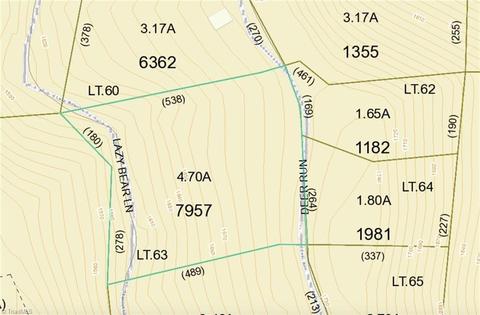 63 Deer Run, Purlear, NC 28665 photo 4